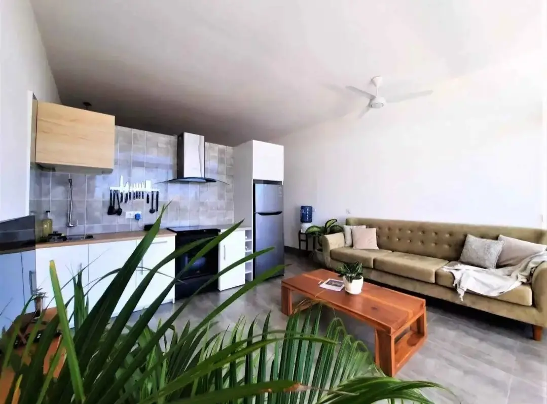 1 Bedroom Villa In Canggu 25 Million per month