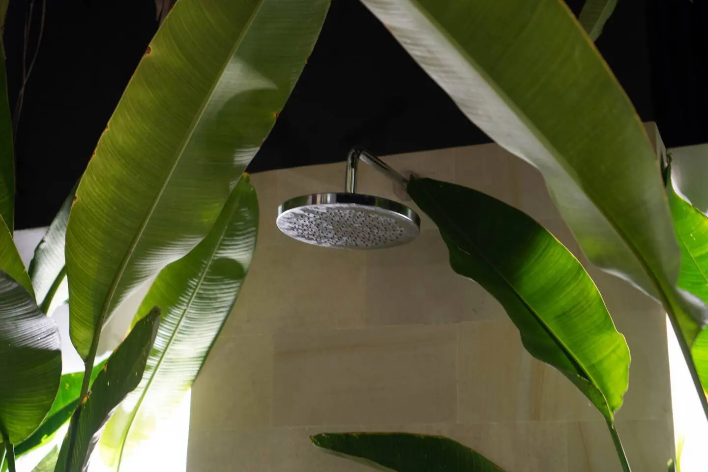 Luxurious 3BR Jungle View Villa in Cepaka — image 1