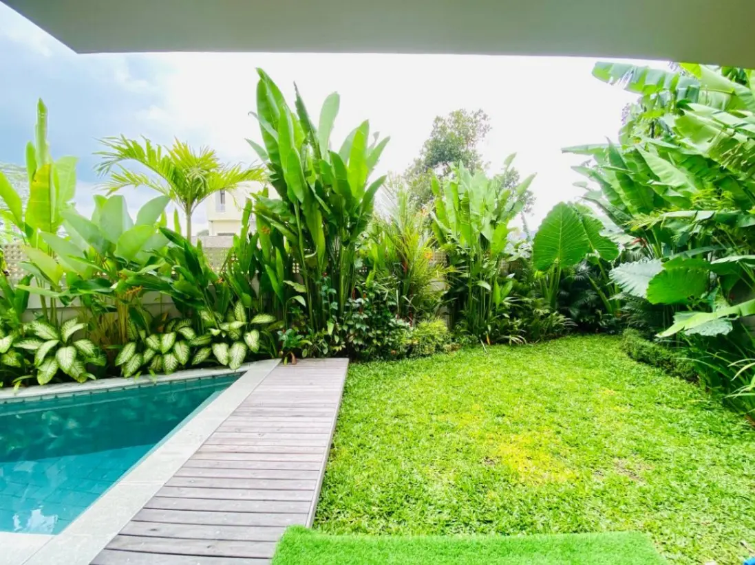 MODERN 3 BEDROOMS VILLA WITH PEACEFUL RICEFIELD VIEW IN CEMAGI — image 4