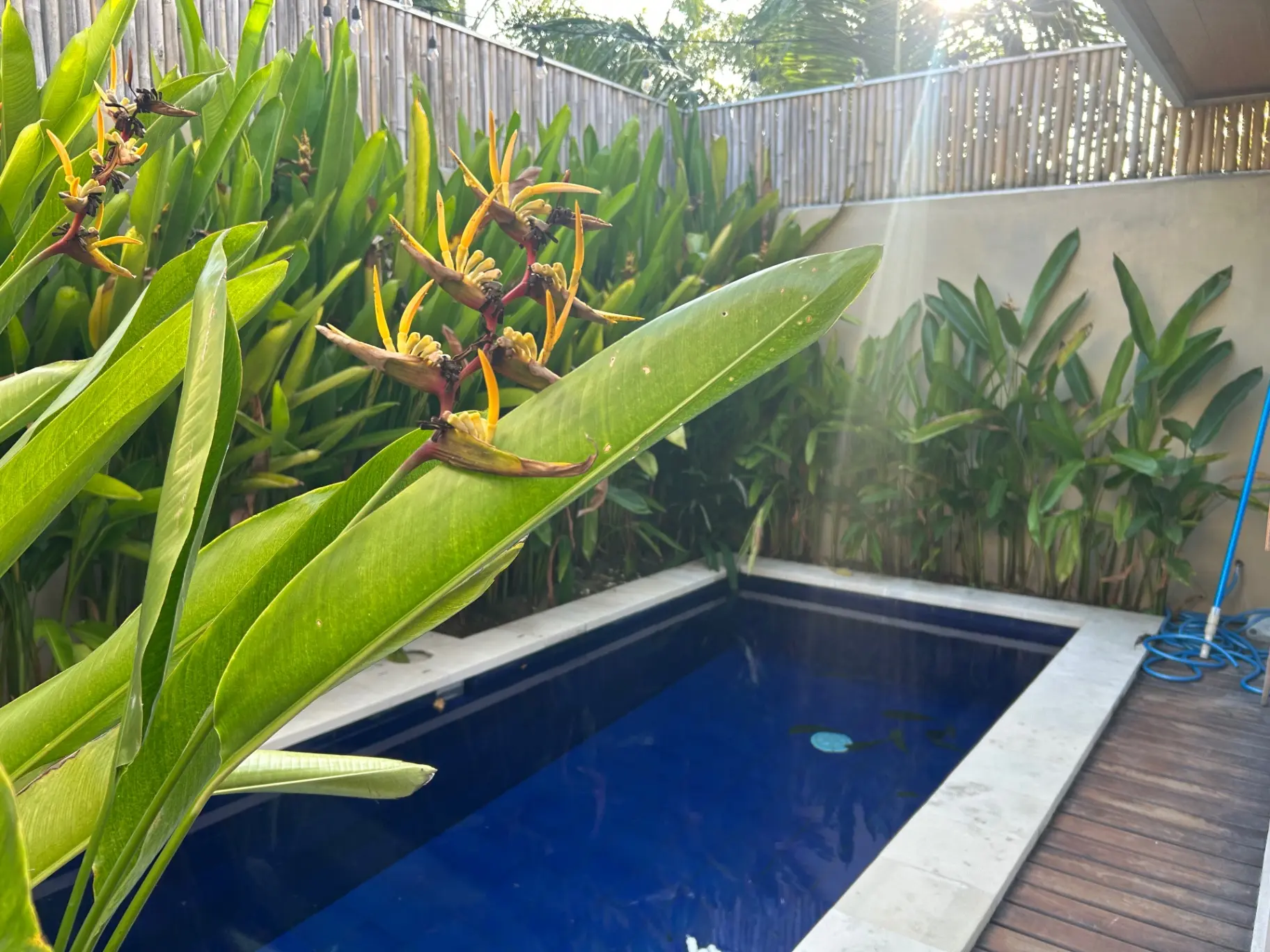 2 Bedroom At Bumbak Umalas — image 1