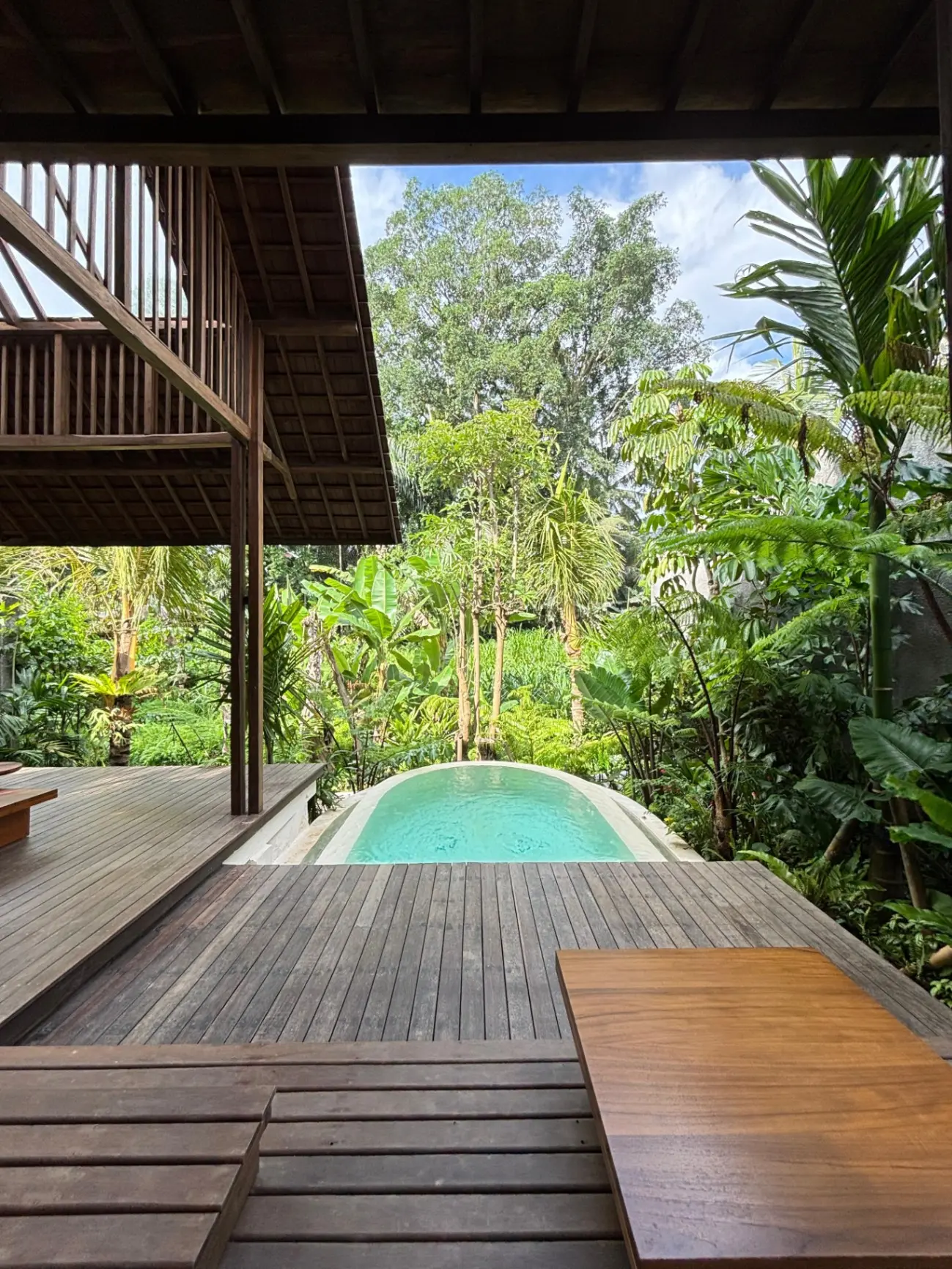 Brand New Villa 2 Bedroom Private Pool with Jungle & River View in Ubud