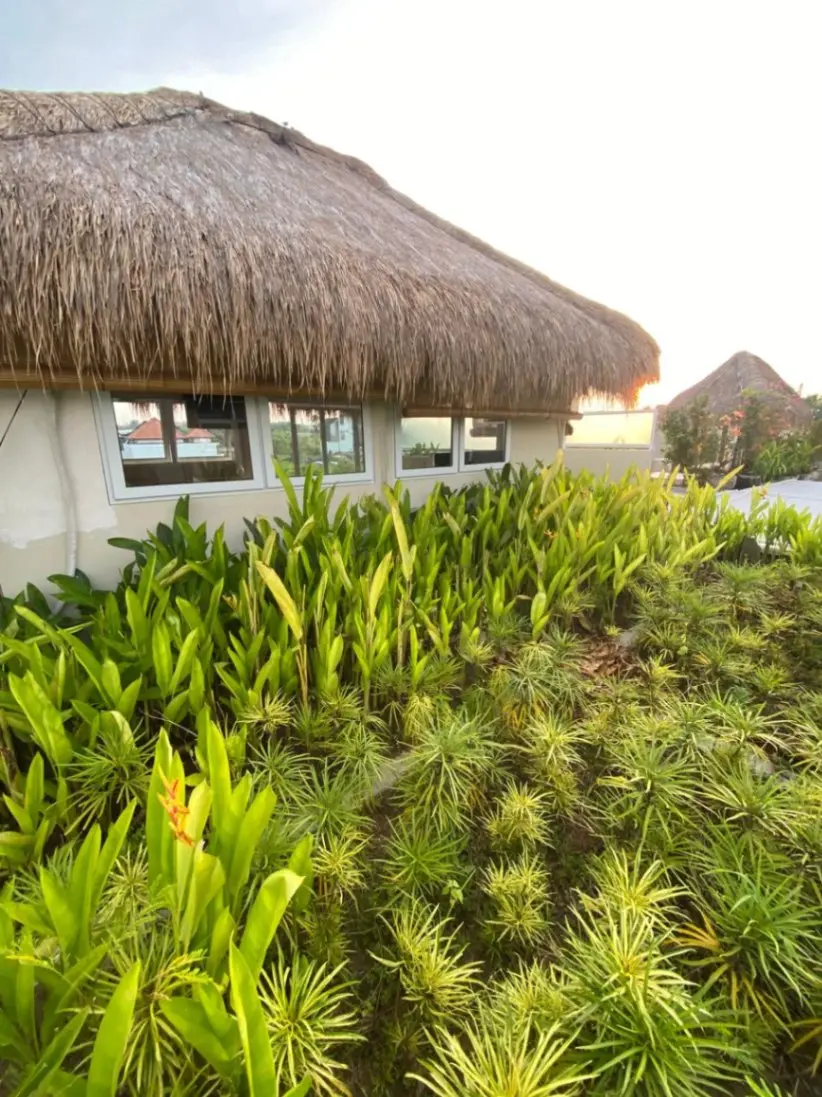 1 Bedroom Bungalow in Berawa — image 3