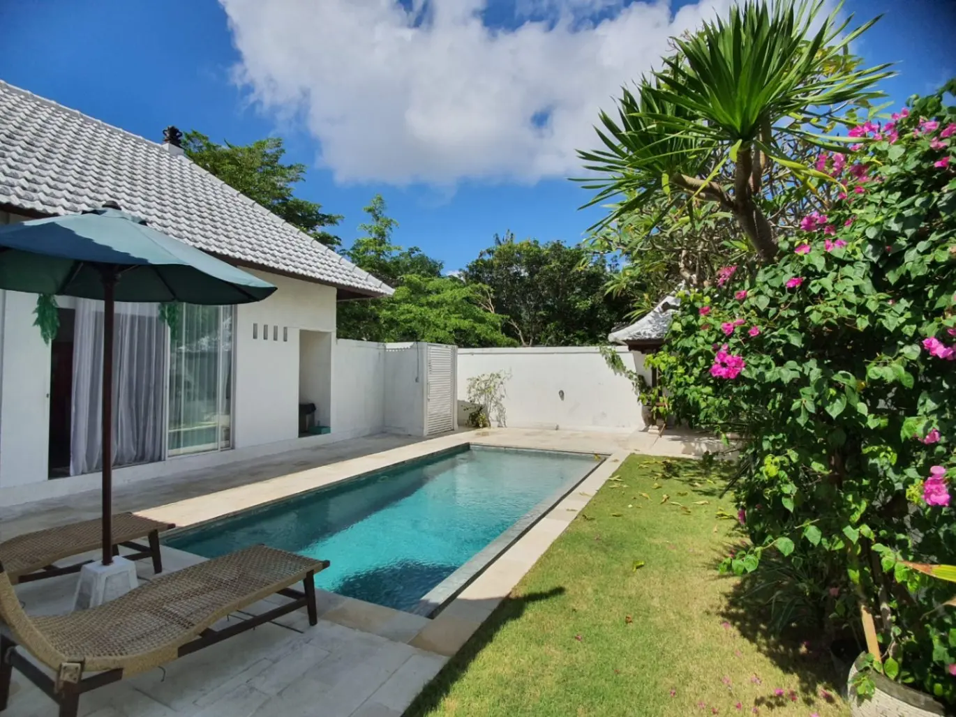 #2052 Villa in Canggu Berawa For cat lovers only! — image 2