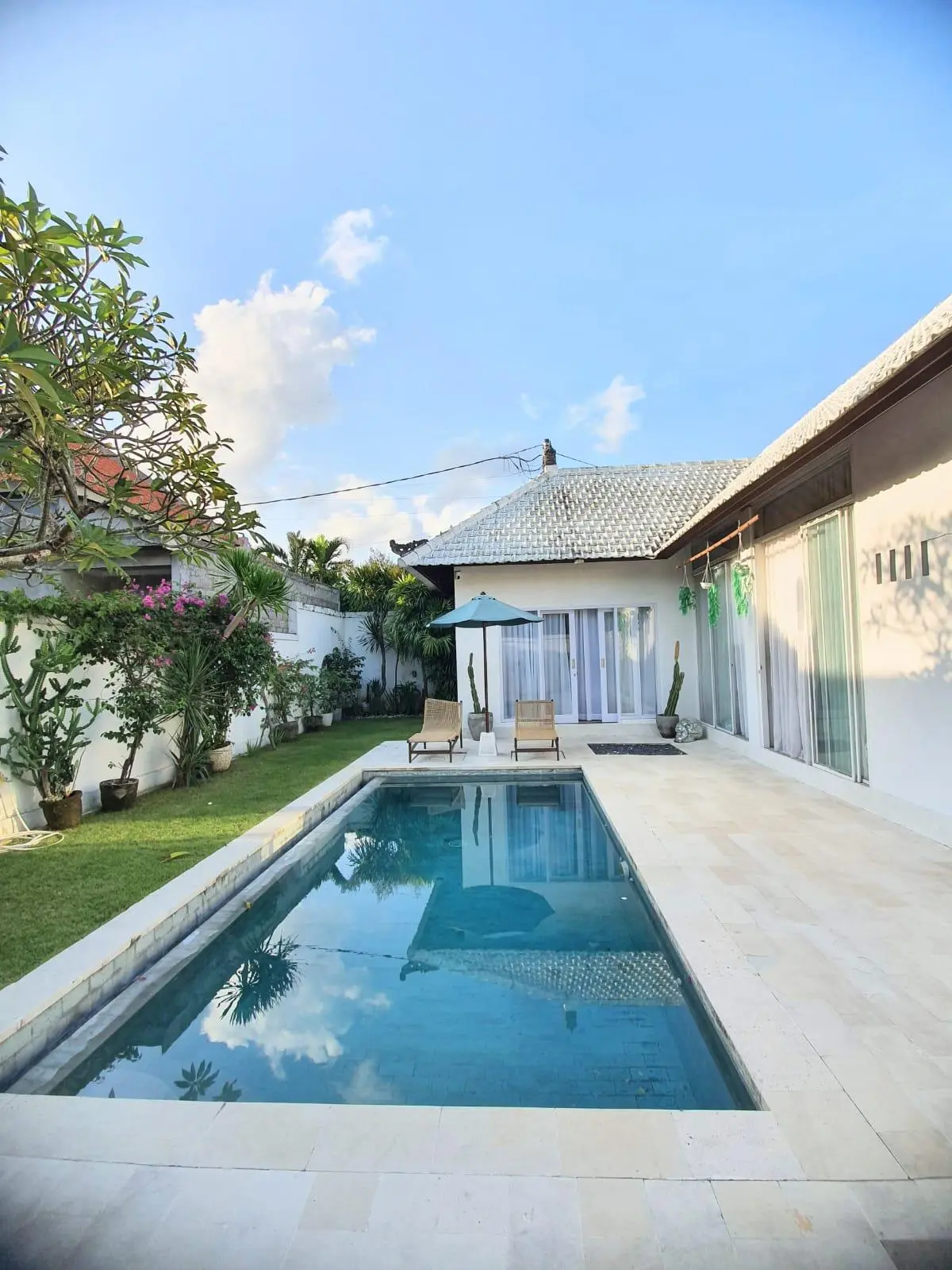 #2052 Villa in Canggu Berawa For cat lovers only! — image 3