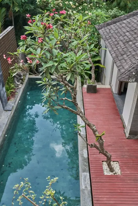 3 BEDROOM VILLA FULLY FURNISHED IN UMALAS — image 1