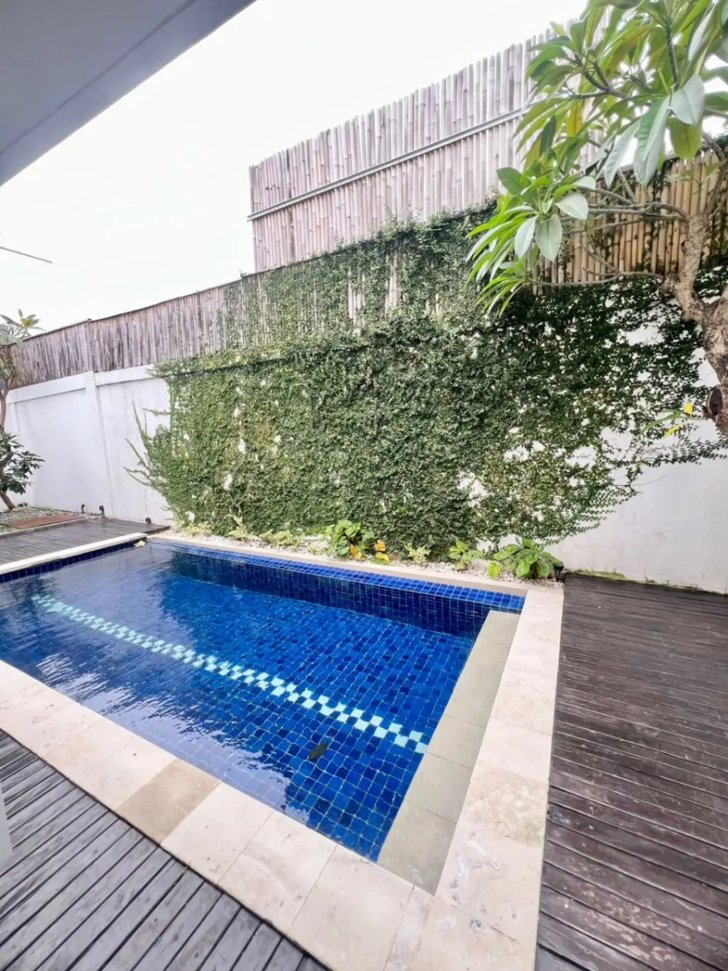 VILLA FOR RENT & FOR SALE FREEHOLD – KEROBOKAN — image 3