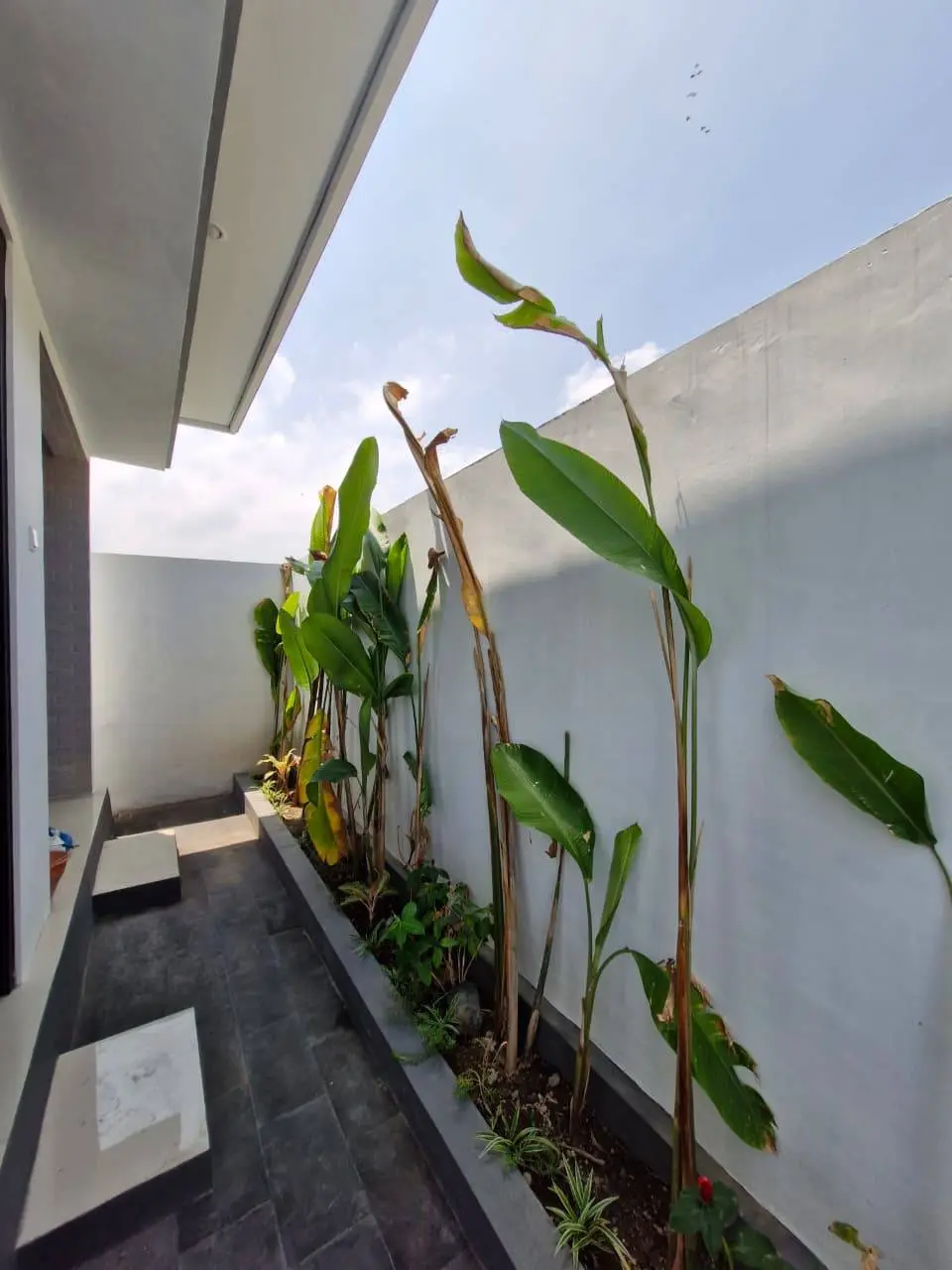 Brand new 2 bedrooms villa located in Umalas — image 3
