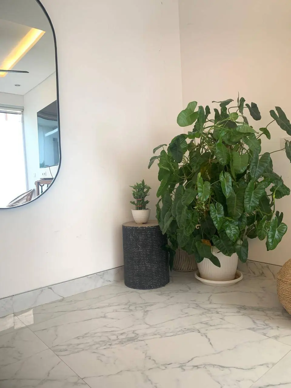 Sanur annual rent 2-bedroom — image 1