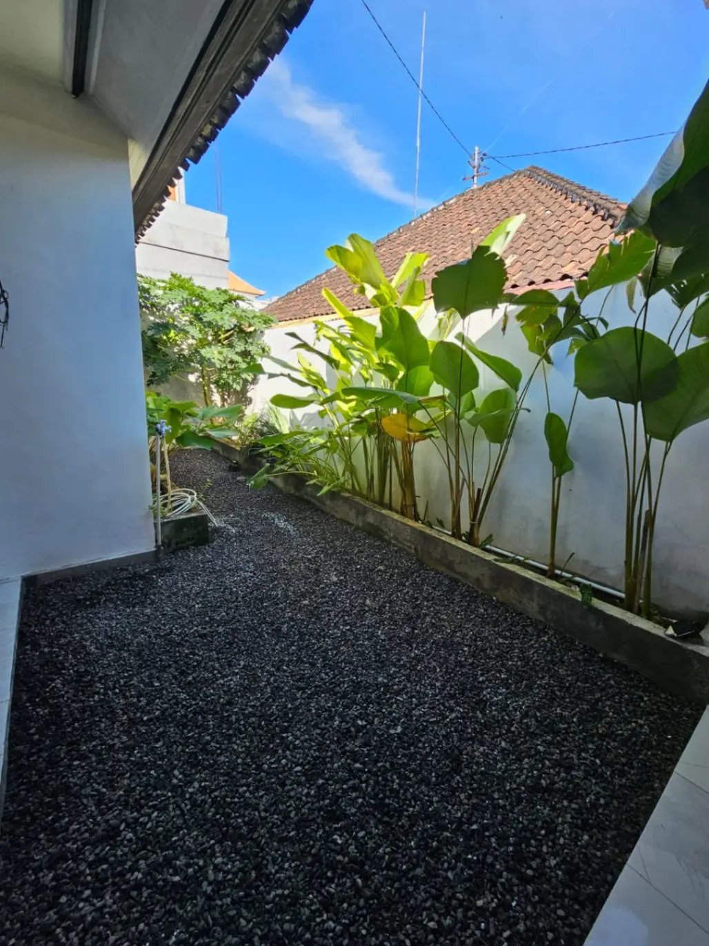 Pets Allowed | 3 BR House Sanur — image 3