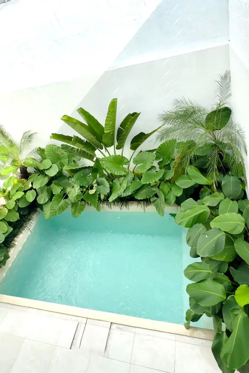 1BR with Private Pool At Abasan Berawa Canggu — image 3
