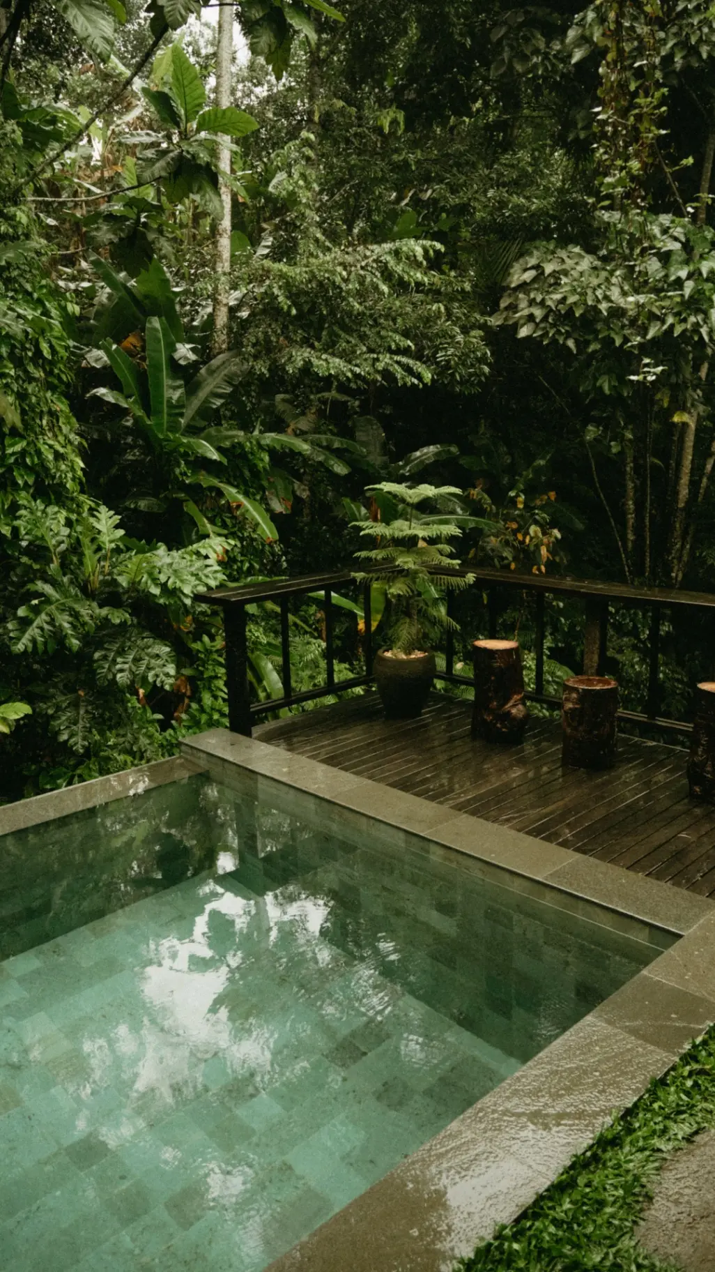 ELFOREST Boutique Residential Sanctuary