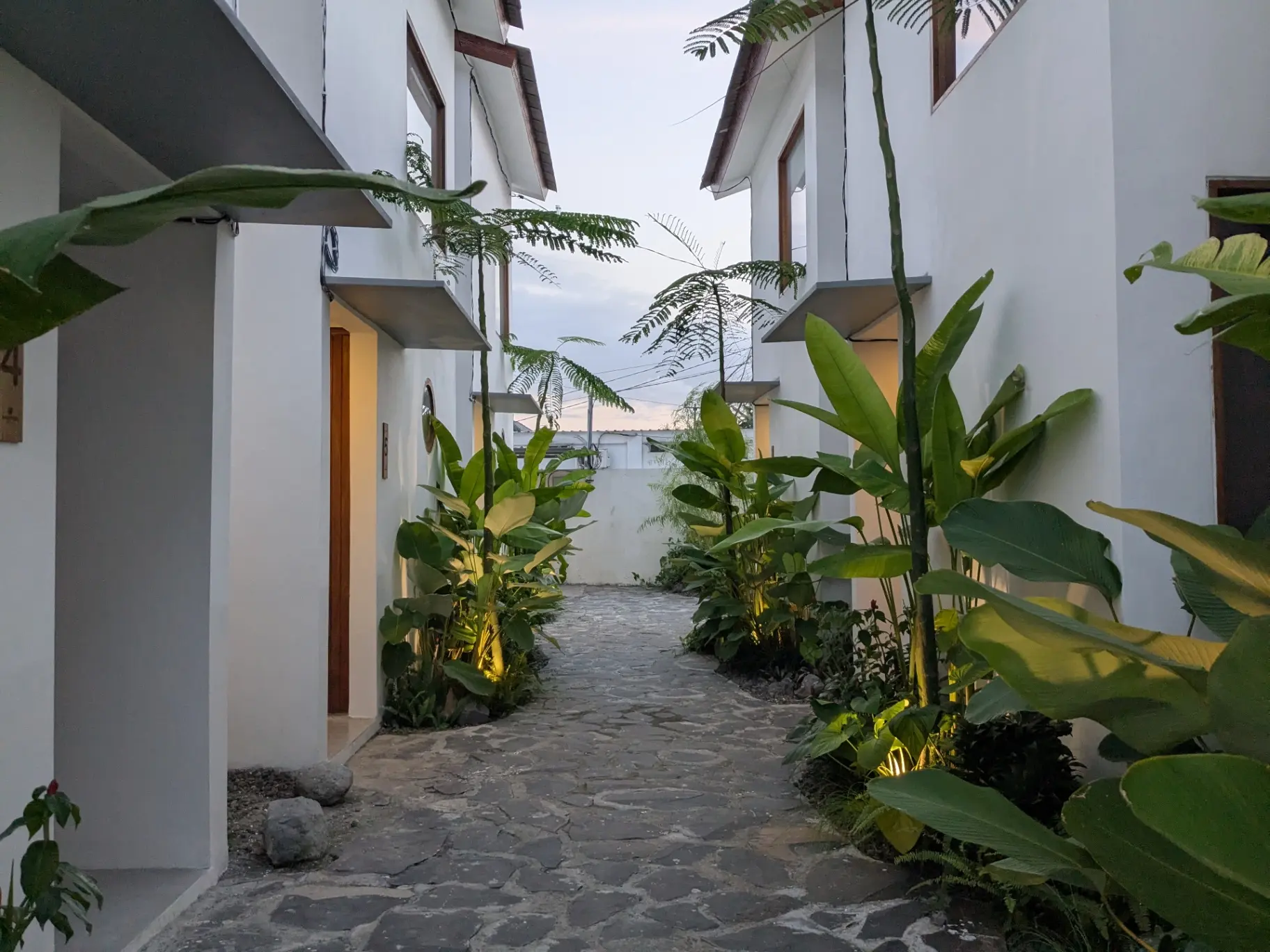 (Avail. February 2026~)Brand New Studio Apartments in Prime Canggu!