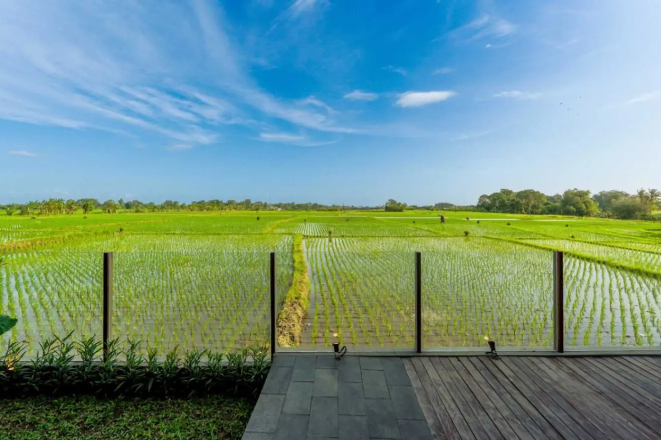 Price Drop - 2BR Modern Tropical Villa — image 3