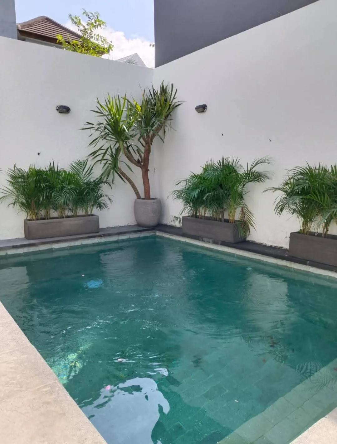 Villa For Rent 2 Bed In Ungasan South Kuta Bali TN-3813