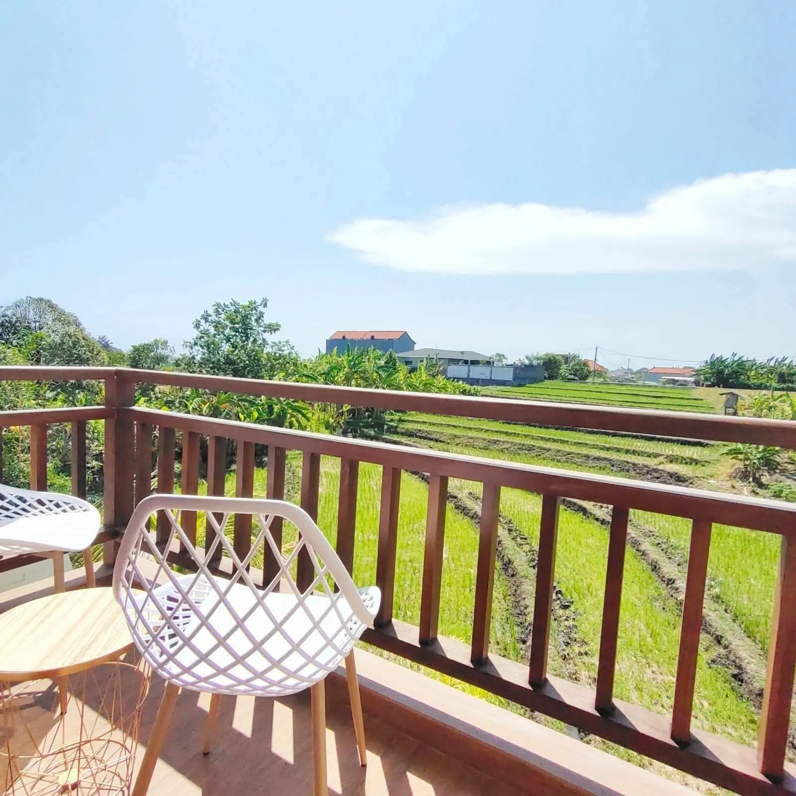 2-Bedroom Villa for Rent in Babakan Canggu - Ricefield View — image 1