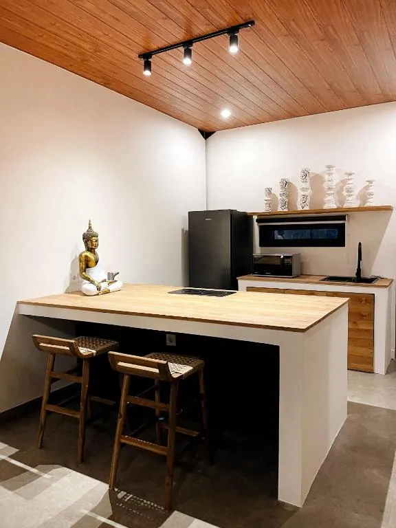 1 BR VILLA IN CANGGU — image 3