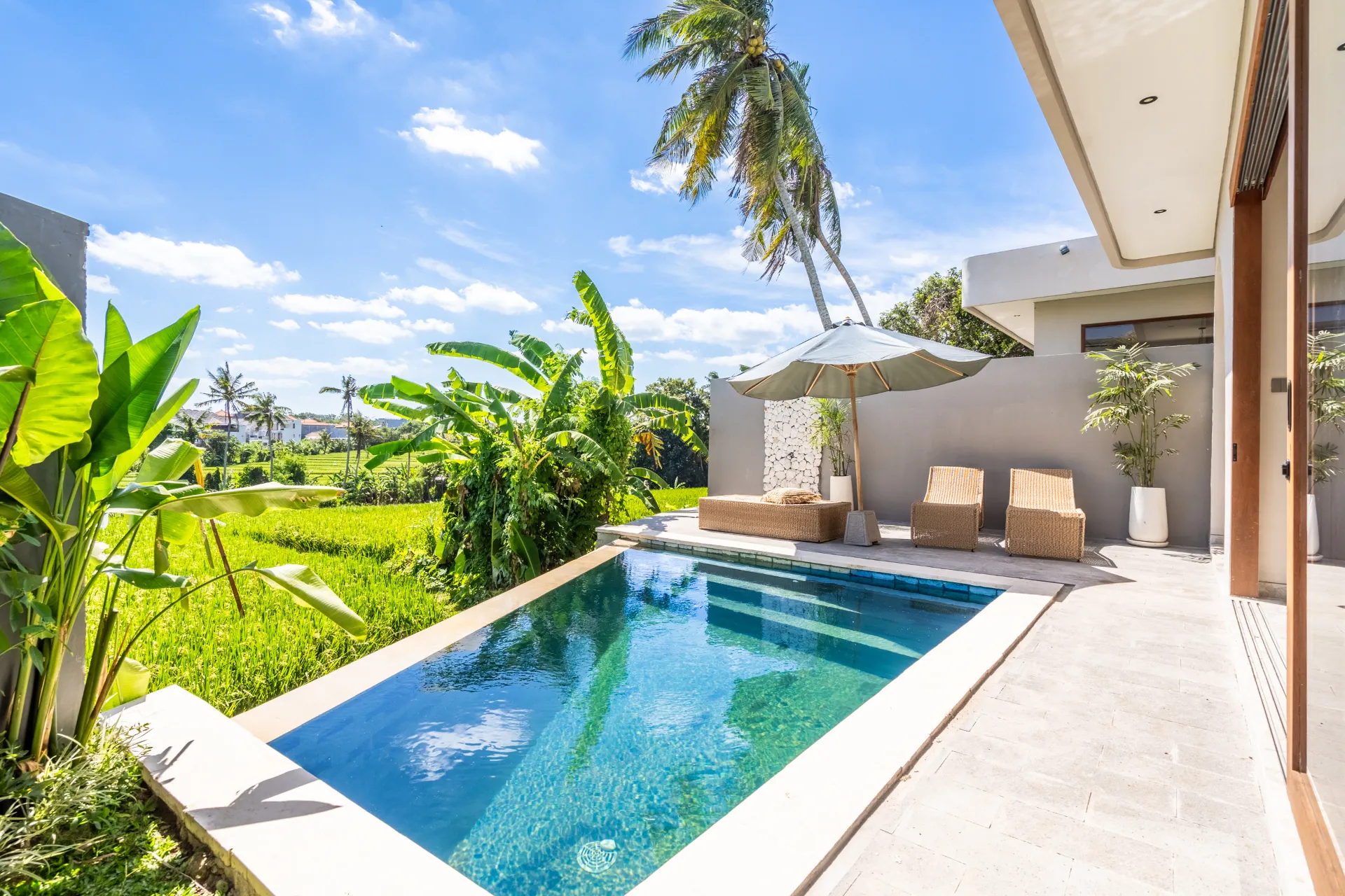 Profitable 3bd Villa W/ Rice Field Views in Tumbak Canggu! — image 1