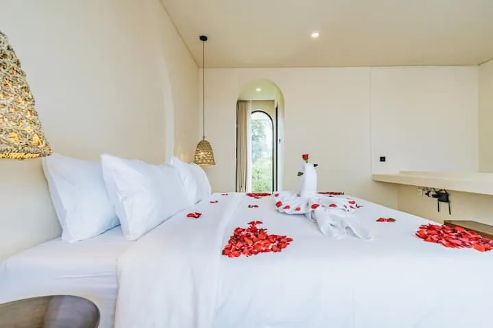 Private Villa For Rent 1 Bed In Seseh Badung Bali — image 3