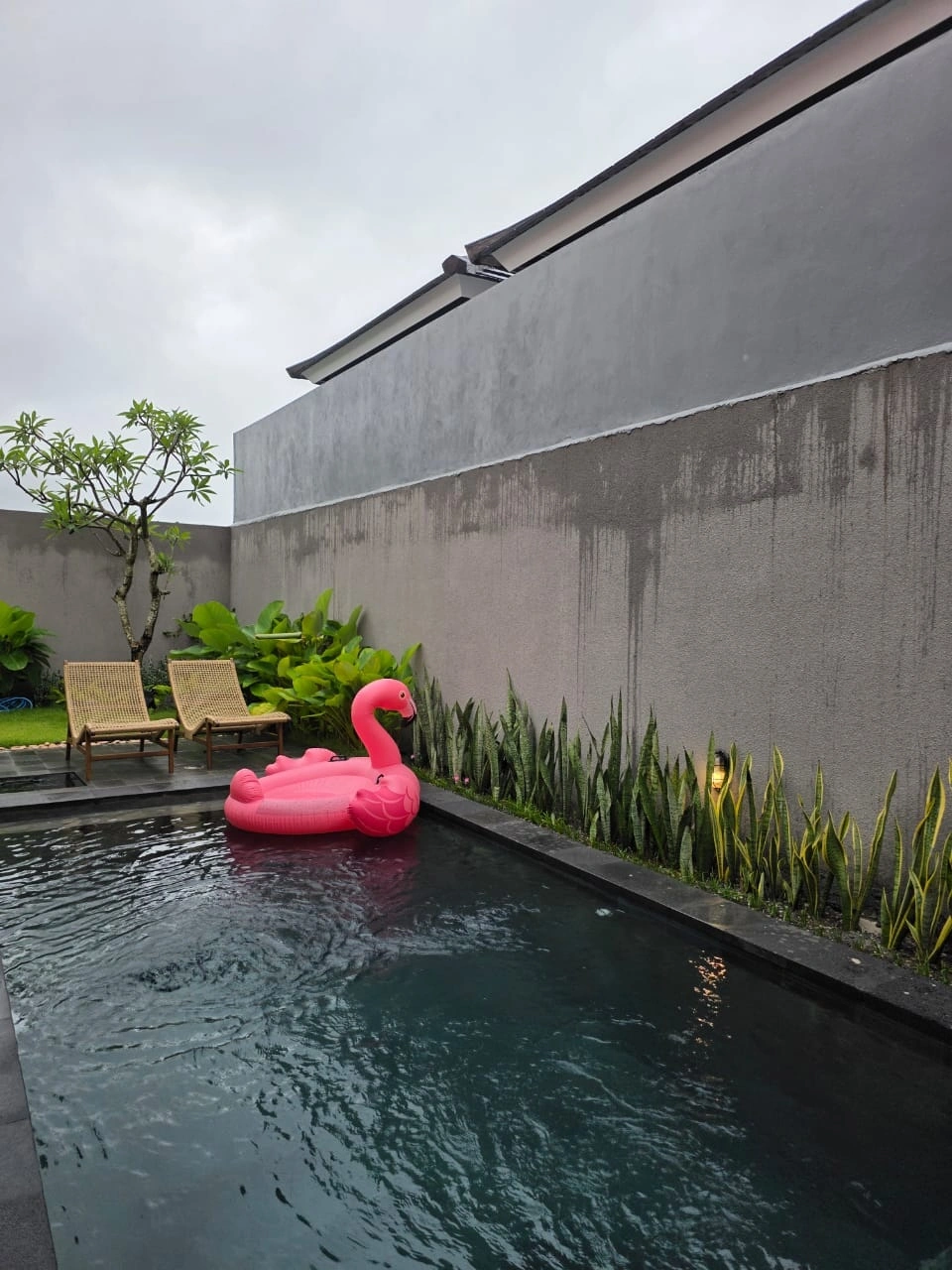 Villa For Rent 2 Bed In Umalas Kerobokan Bali — image 4