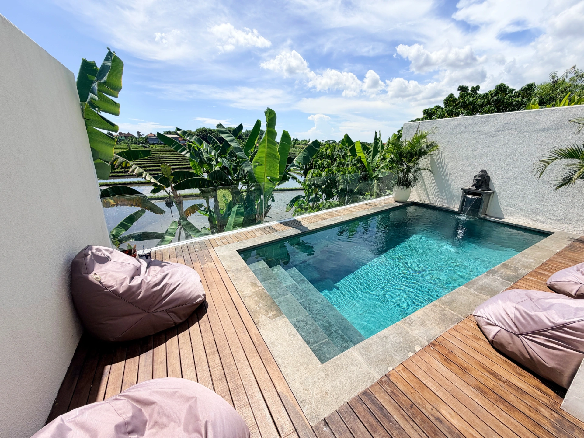 Rice Field View Pool Villa - Canggu / Seminyak - D2