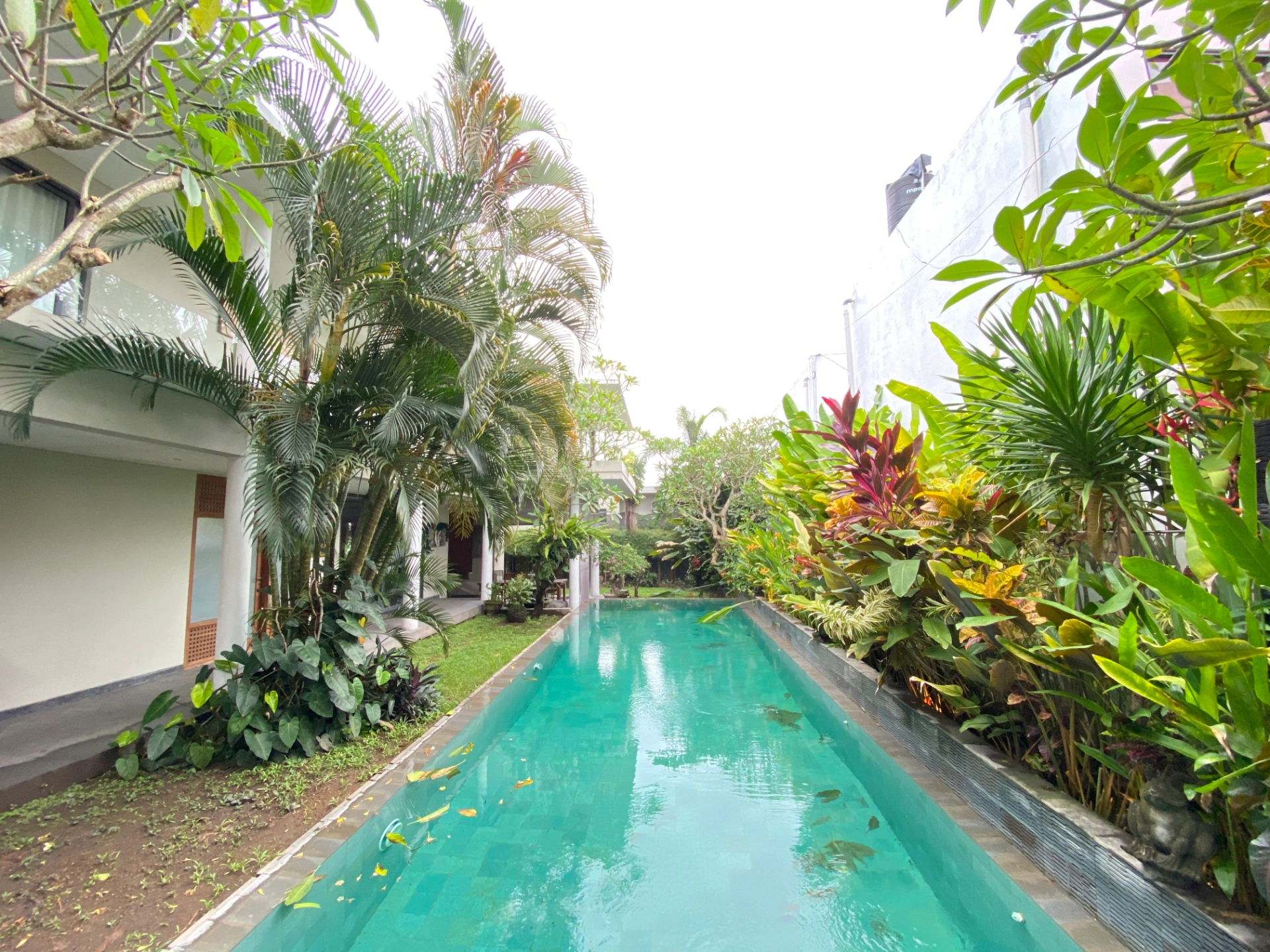 4BR Spacious Luxury Villa in Tumbak Bayuh — image 2