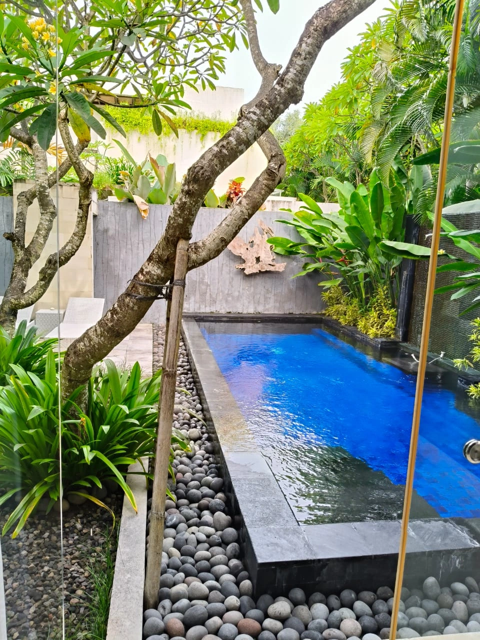 KNT - FOR RENT KONTEMPORER VILLA BEACHSIDE JIMBARAN