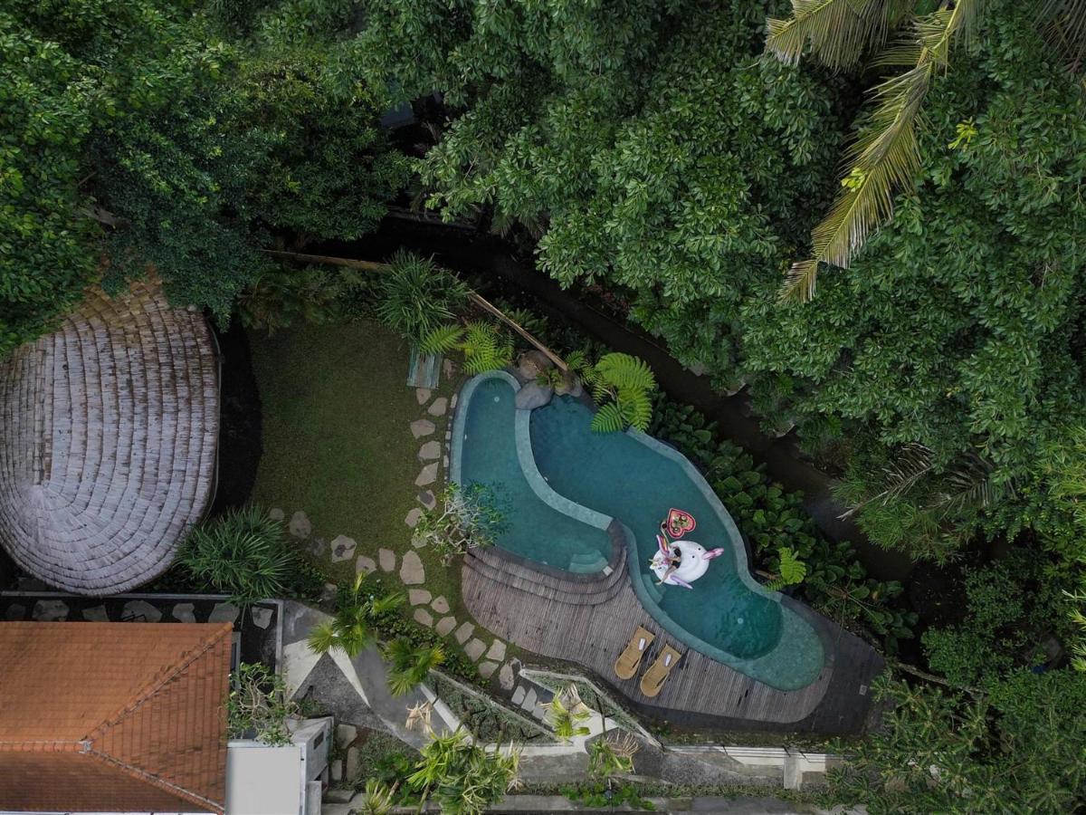 Jungle Nature Nook 1 Bedroom Cottage in Ubud — image 10