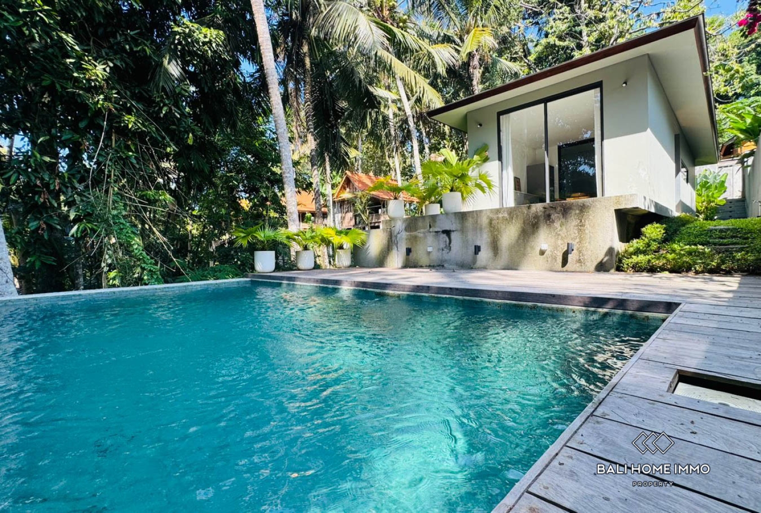 1 BEDROOM JUNGLE VIEW VILLA FOR RENT IN UBUD — image 1