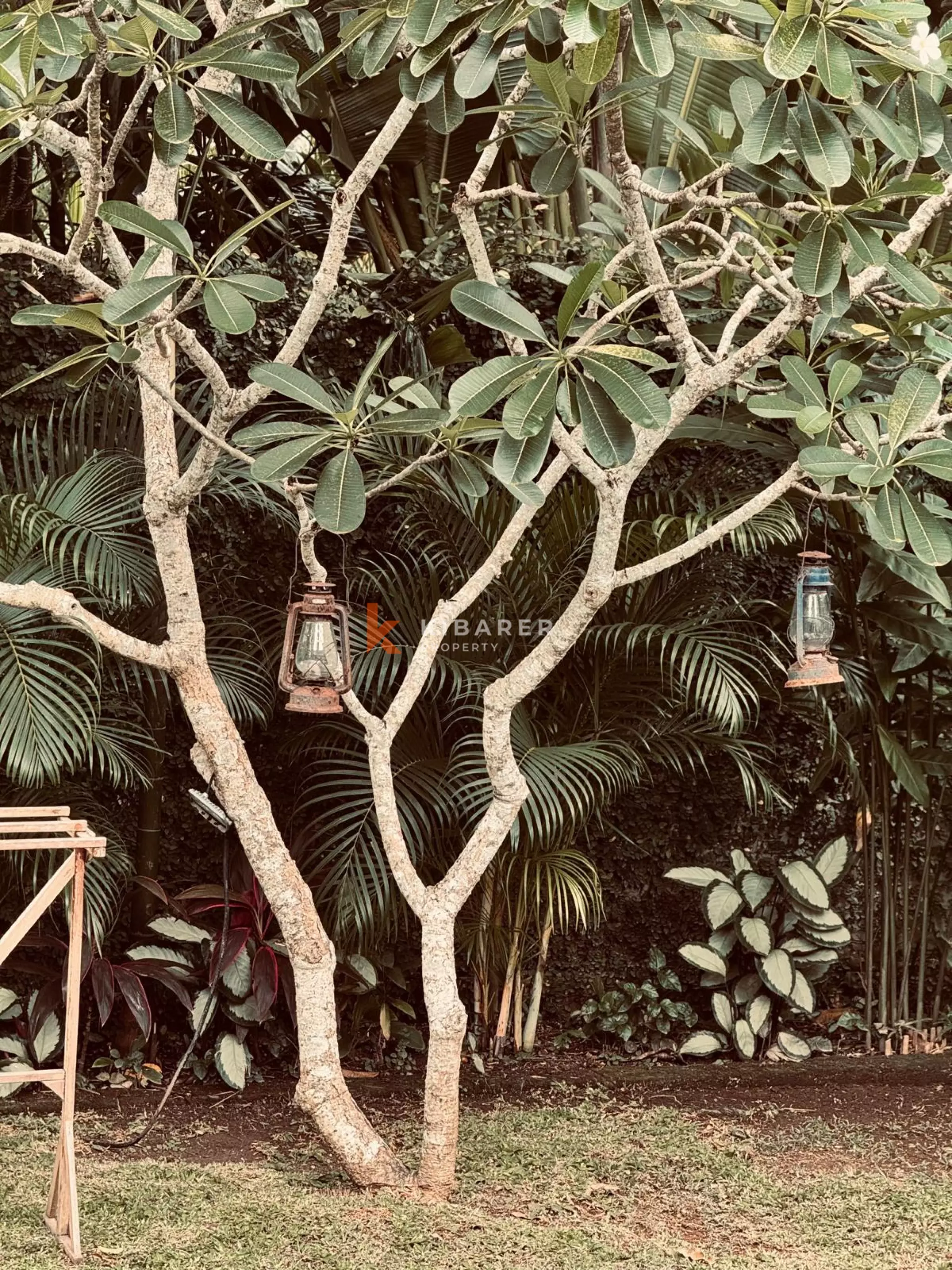 3BR Villa for for Rent in Batu Bolong, Bali — $3,413 — image 6