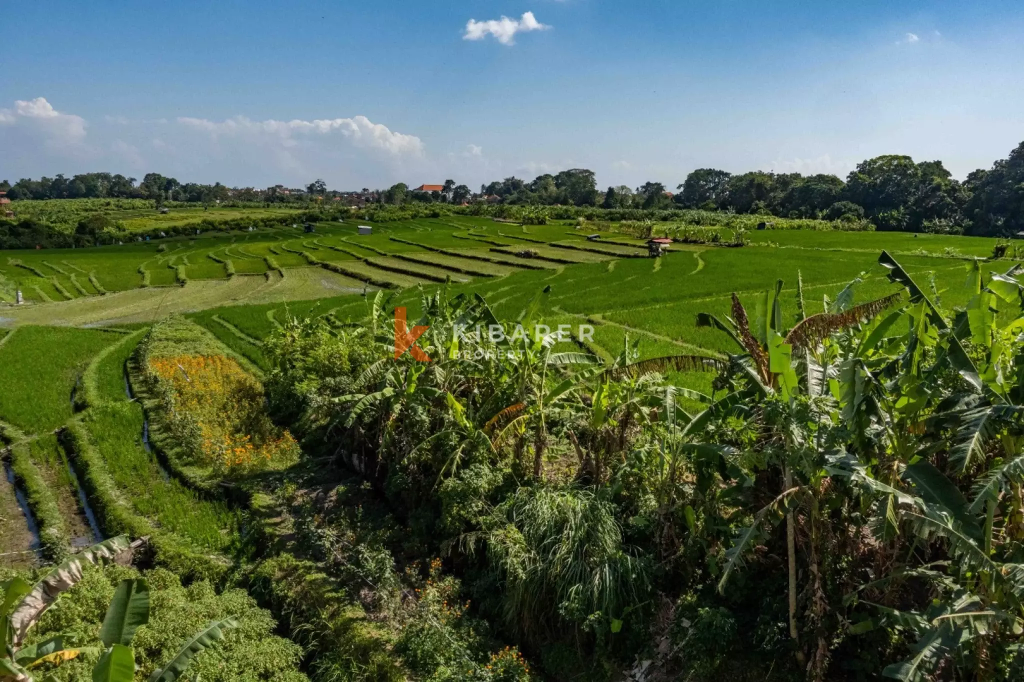 Fully Furnished Four Bedroom House in Peaceful Buduk — image 15