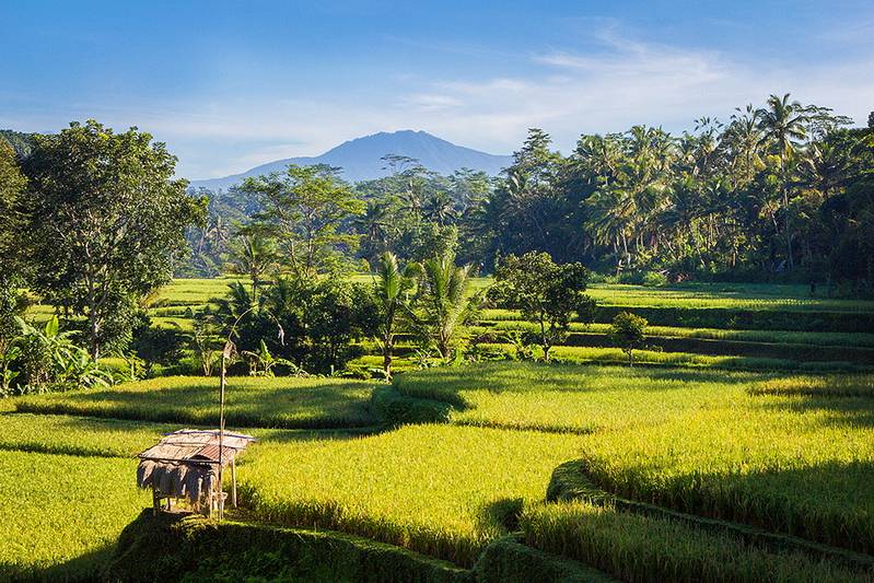 Ubud Villa 3273