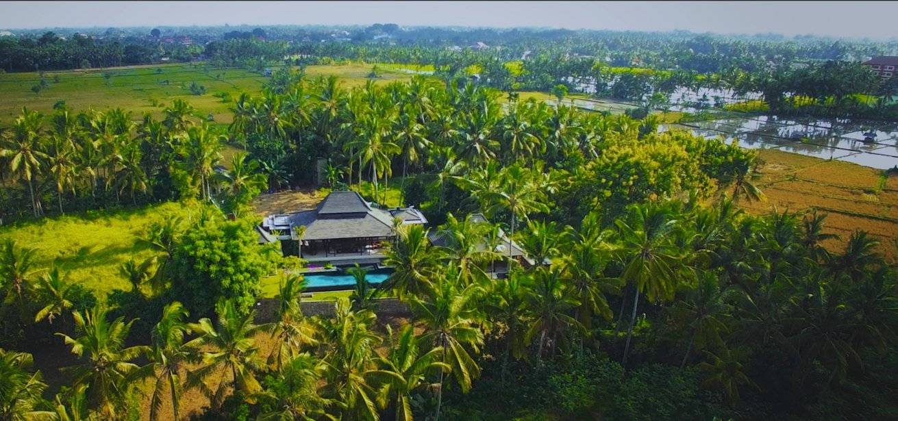 Ubud Villa 3100