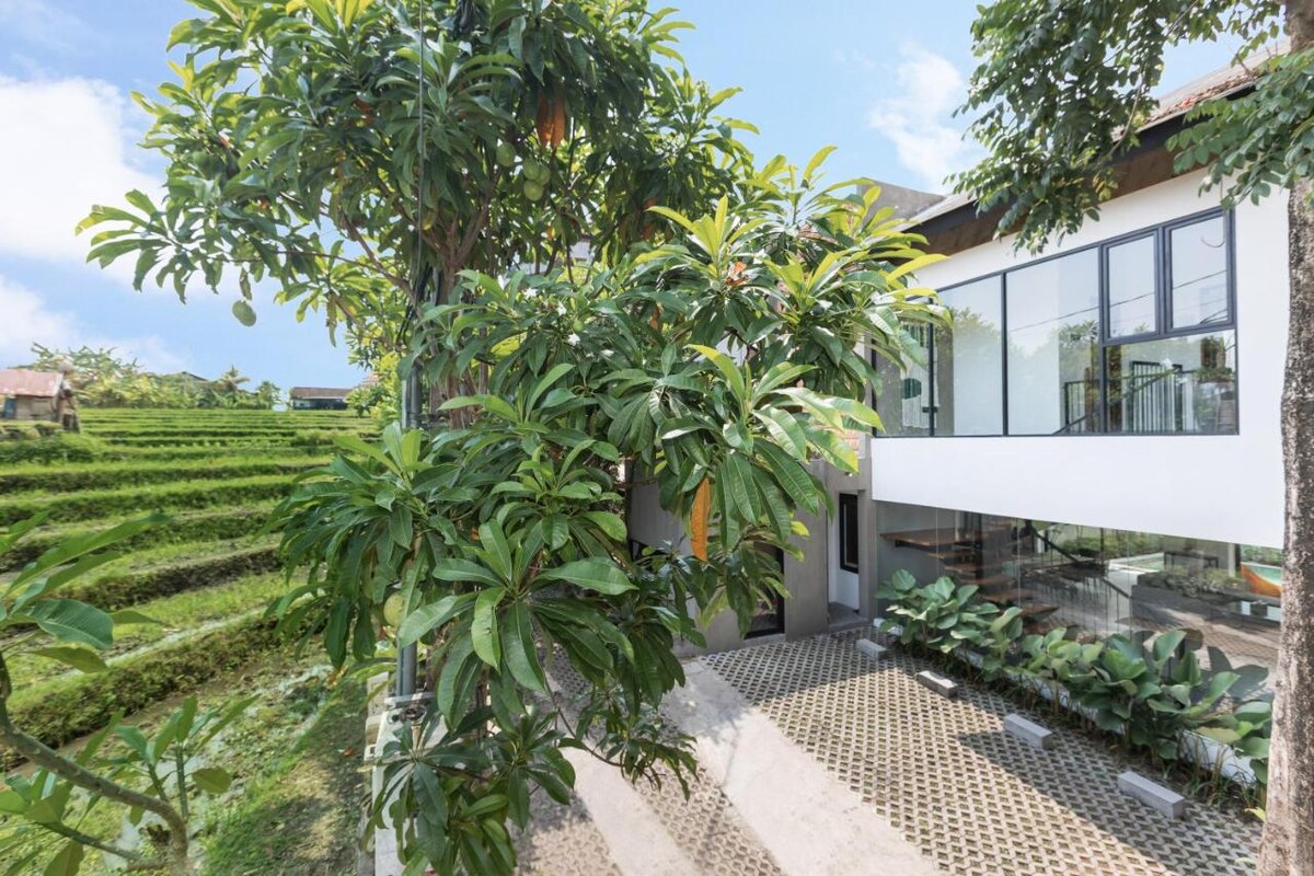 Grand Modern Sanctuary 5 Bedroom Private Villa in Canggu — image 5