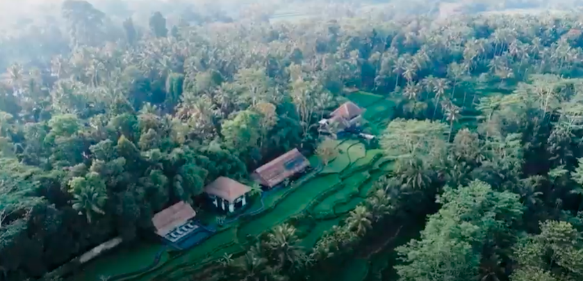 Ubud Villa 3133