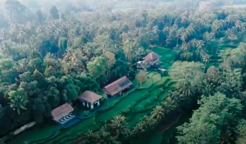 Ubud Villa 3133 — image 2