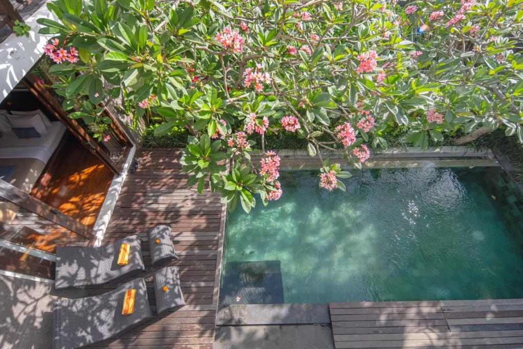 Sunlit Balcony Escape 3 Bedroom Private Villa in Canggu — image 10