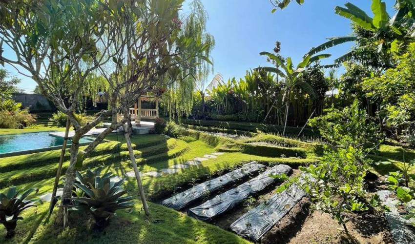 Canggu Villa 3768 — image 11