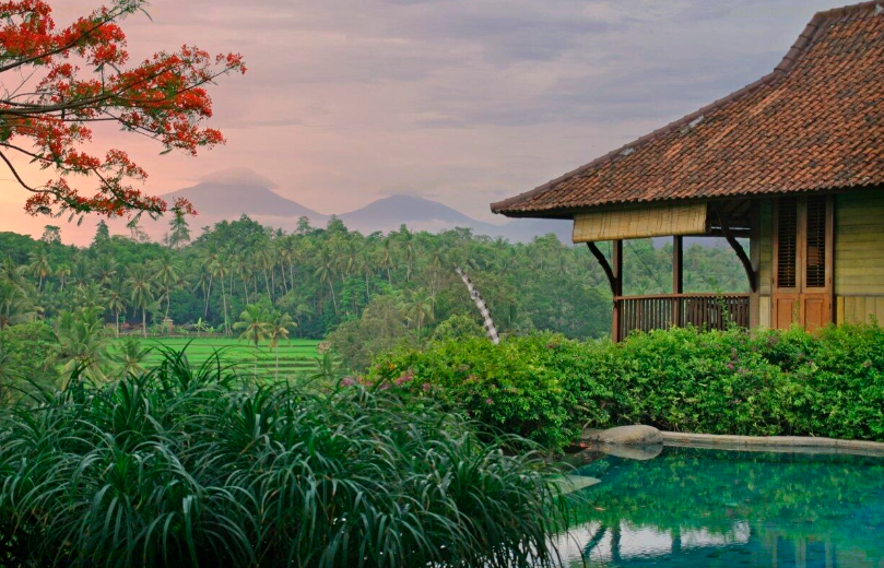 Ubud Villa 3639 — image 4