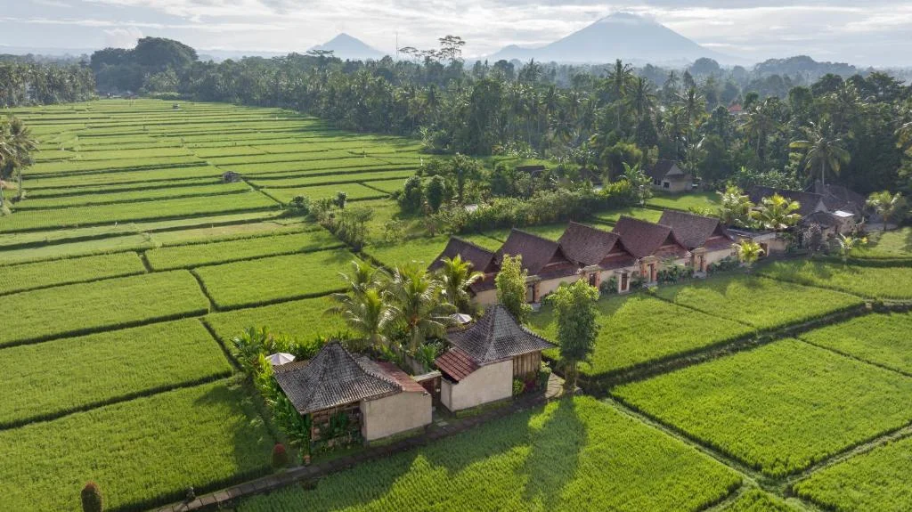 Romantic 1BR Rice Field Villa with Private Pool – Near Ubud – BVI50044