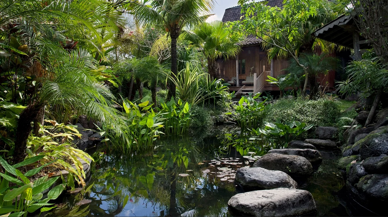 Romantic 1-Bedroom Villa with Garden Bath & Plunge Pool – Canggu, Bali – BVI1441