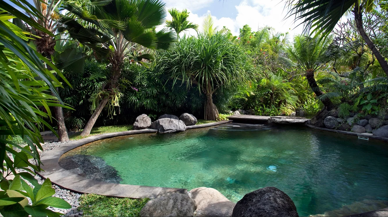 Romantic 1-Bedroom Villa with Garden Bath & Plunge Pool – Canggu, Bali – BVI1441 — image 4