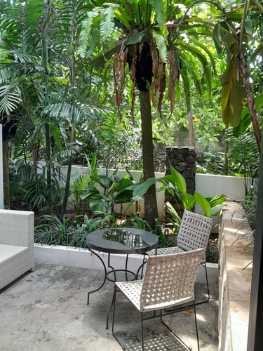 1BR Apart w/ Living Room, Kitchennete & Patio in Kerobokan, Bali — image 6