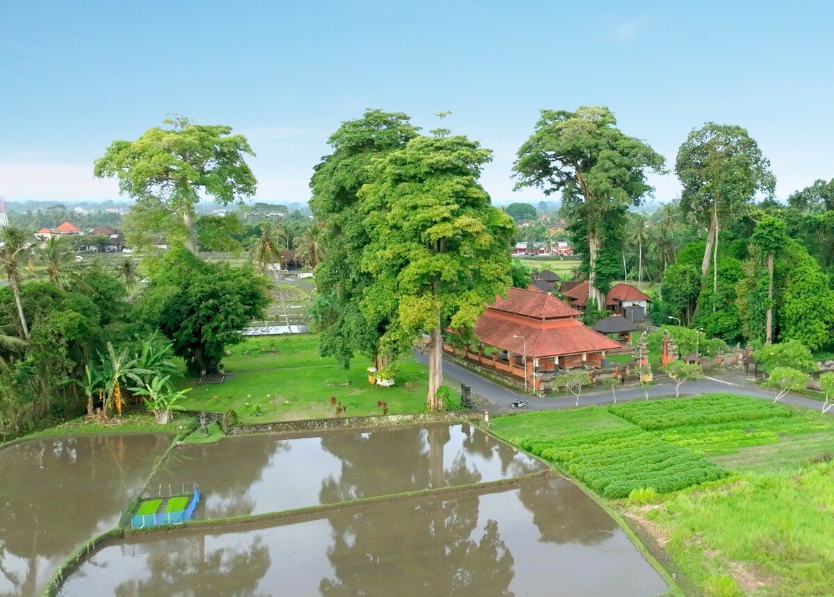 Peaceful Poolside Sanctuary 2 Bedroom Private Villa in Ubud — image 9