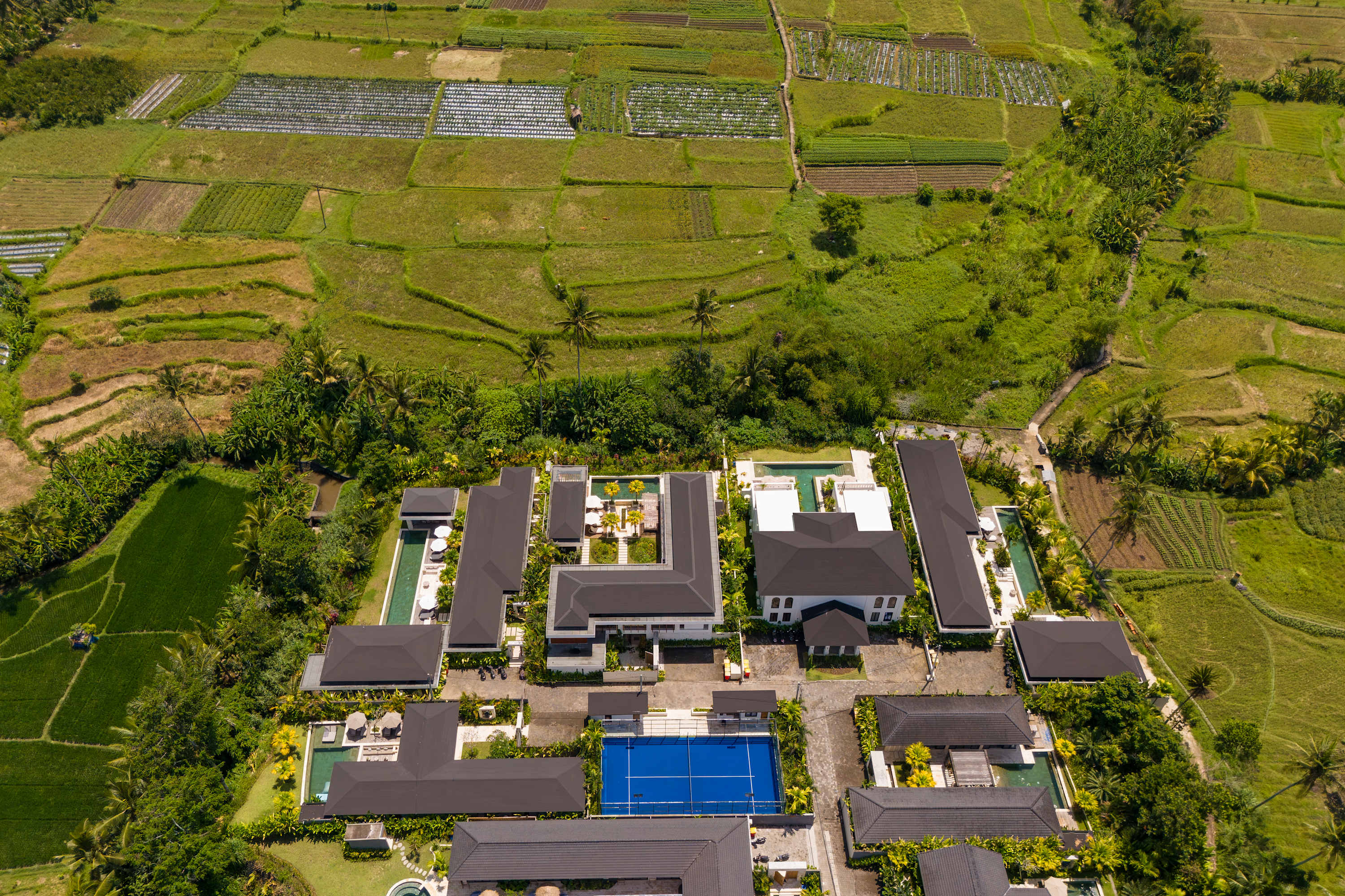 Villa Maxime in Ubud — image 11