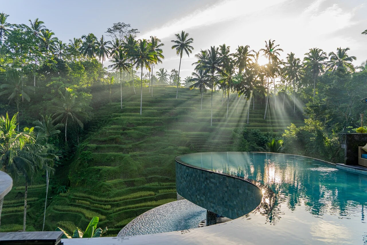 Saint Lau — 3BR Villa Rental in Ubud — image 4