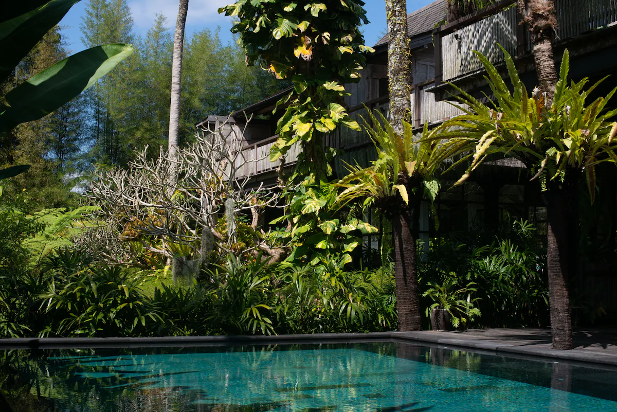 Rumah Senja — 3BR Villa Rental in Ubud — image 2
