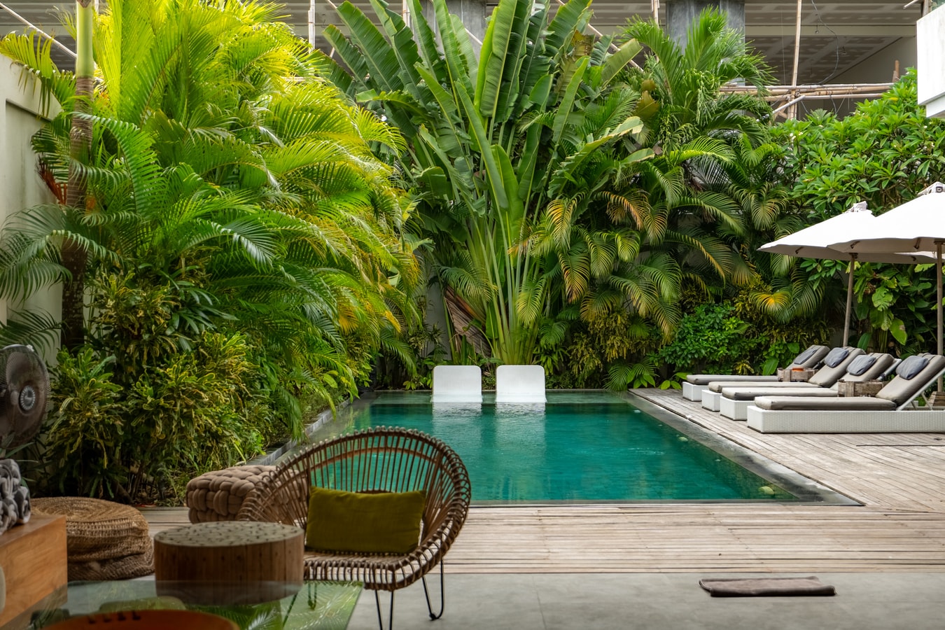 Flores - 4 Bedroom Villa with Long Pool, Berawa in Canggu, Bali — image 11