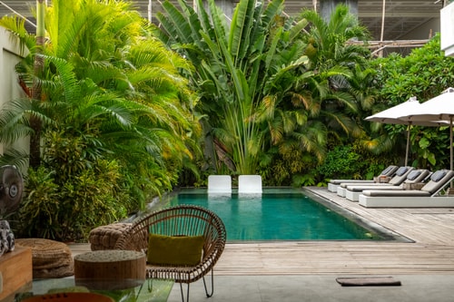 Flores - 4 Bedroom Villa with Long Pool, Berawa in Canggu, Bali — image 10