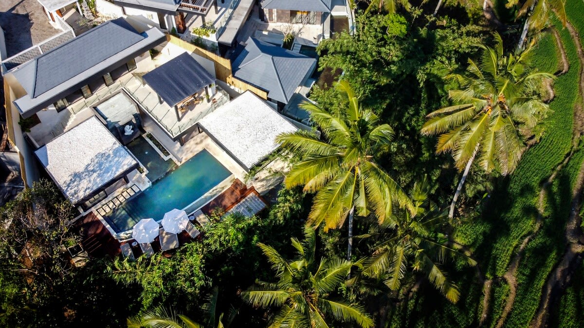 Villa Balinese Monkeys in Ubud — image 5