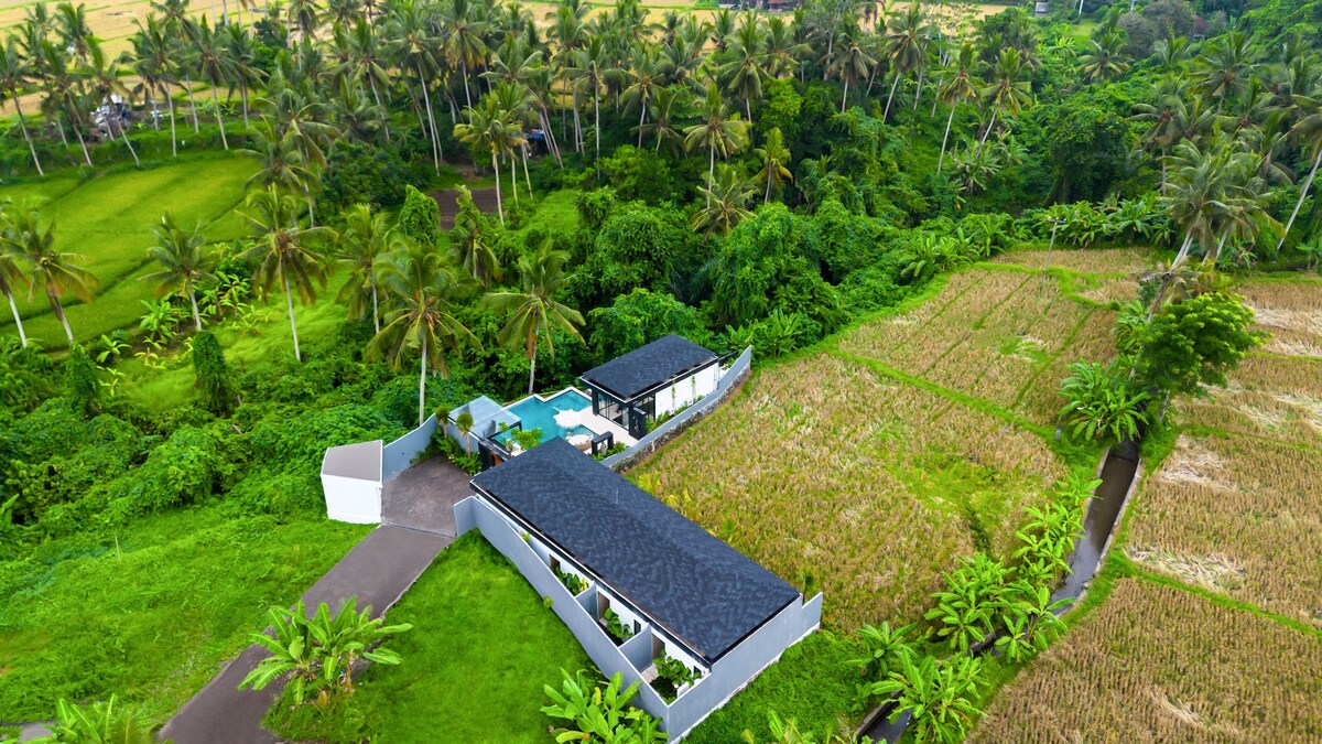 Villa Infinity Ubud — image 6